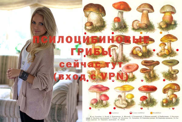 MDMA Premium VHQ Балахна